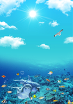 海底世界