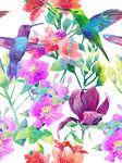 水彩画花鸟