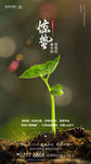 惊蛰