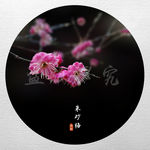 梅花
