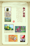 中国风边框展板