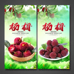 杨梅海报