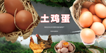 土鸡蛋