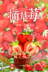 草莓采摘