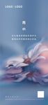 花 雨水  盛开  生命