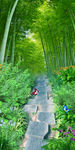 清新竹林小路过道3D玄关