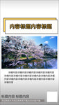 抖音短视频背景模板