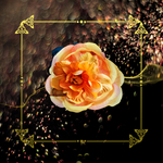 花卉丙烯画