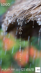 二十四节气雨水海报