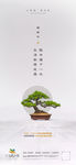 植树节