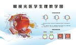 眼球结构图