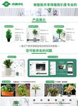 PSD植物盆栽 传单宣传海报