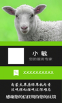 草原特产名片