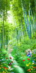 玄关竹林风景