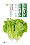 生菜