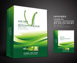绿色手提袋 手提袋设计 手提袋
