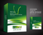 绿色手提袋 手提袋设计 手提袋