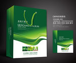 绿色手提袋 手提袋设计 手提袋