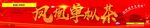 潮州凤凰山单枞茶 乌龙茶