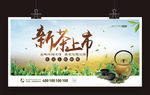 新茶上市展板春茶普洱乌龙龙井茶