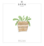 北欧风水彩植物盆栽