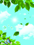 绿叶蓝天白云风景