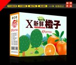 橙子包装