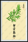 罗斯玛丽