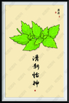 薄荷