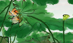 荷花