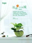 暖场活动海螺花盆绿萝展板