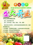 开业单页