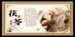 茯苓