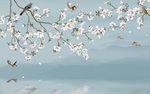 玉兰花花鸟