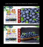 蓝莓