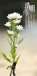 清明节海报