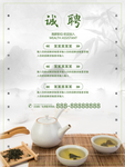 茶招聘