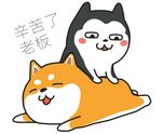 卡通头像动漫哈士奇二哈秋田犬