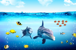 海底