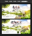 毛尖茶