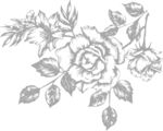 矢量玫瑰花
