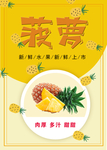 菠萝
