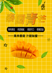 芒果