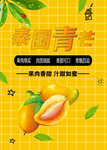 芒果