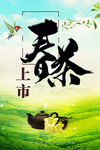 春茶上市