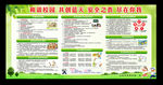 学生安全 校园展板