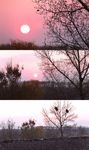 夕阳鸟巢