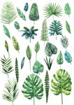 手绘 绿叶 植物 插画 素材