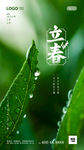 立春