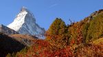 山川美景花草树木